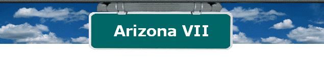  Arizona VII 